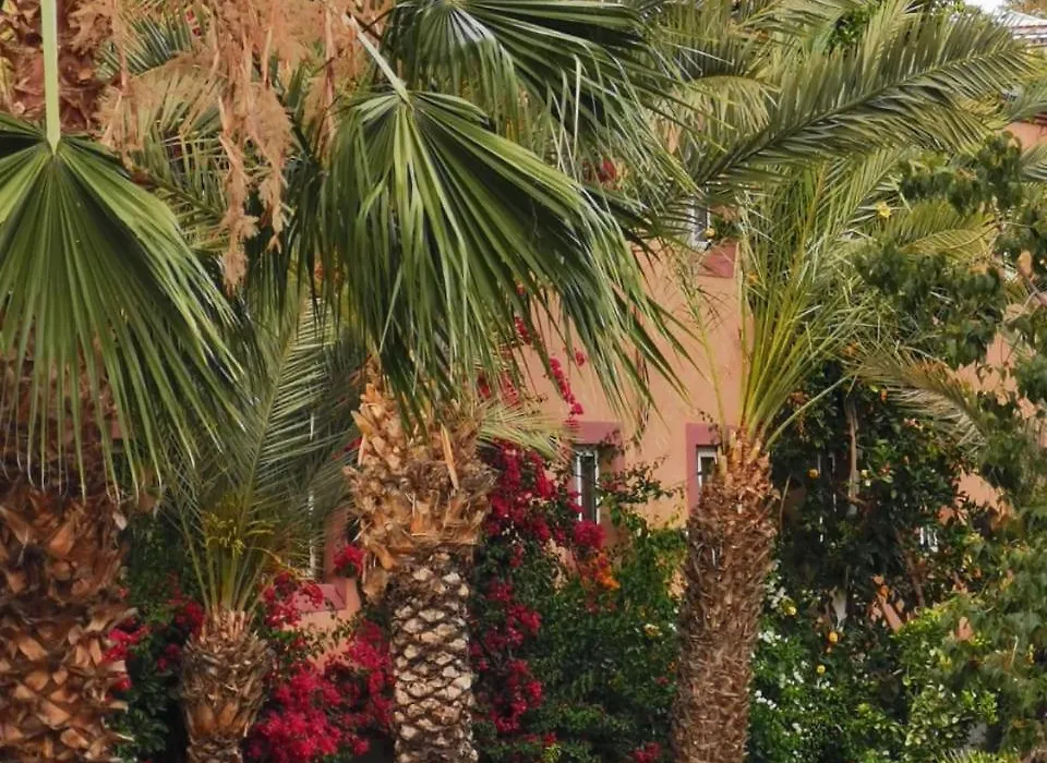 Riad Hicham In Marrakech-1